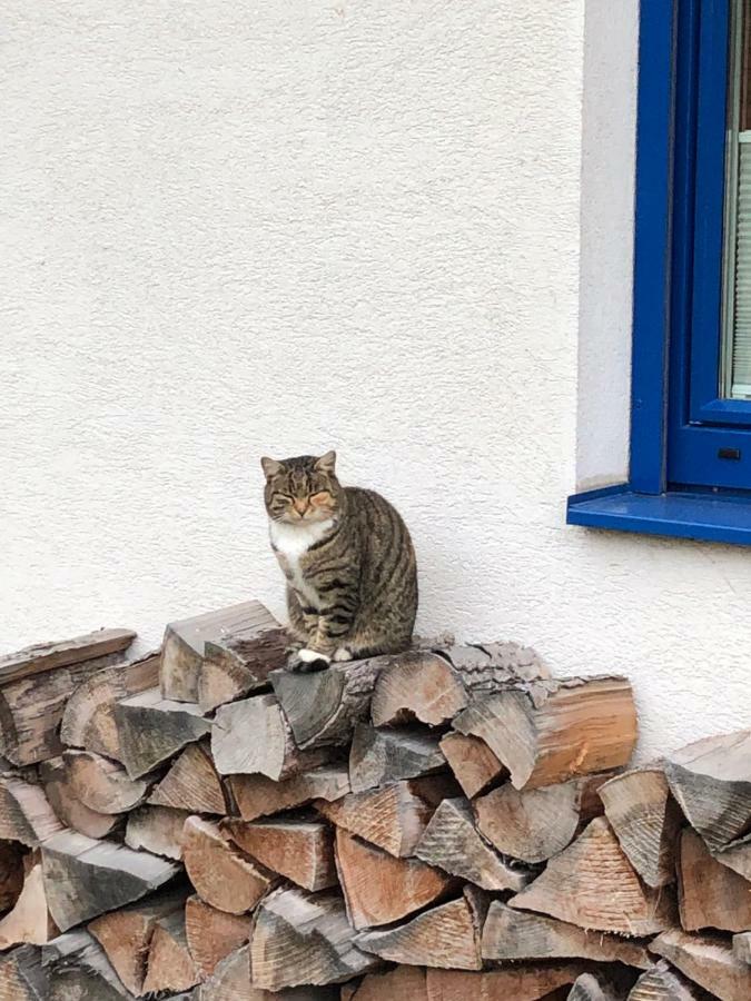 Haus Sonnenweg Βίλα Mariapfarr Εξωτερικό φωτογραφία